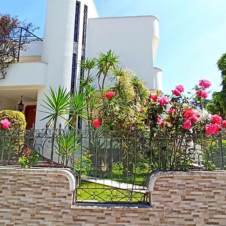 Villa Mary - Apartments Trani Dış mekan fotoğraf