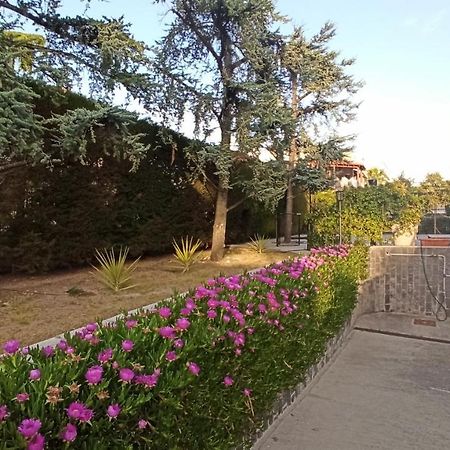 Villa Mary - Apartments Trani Dış mekan fotoğraf